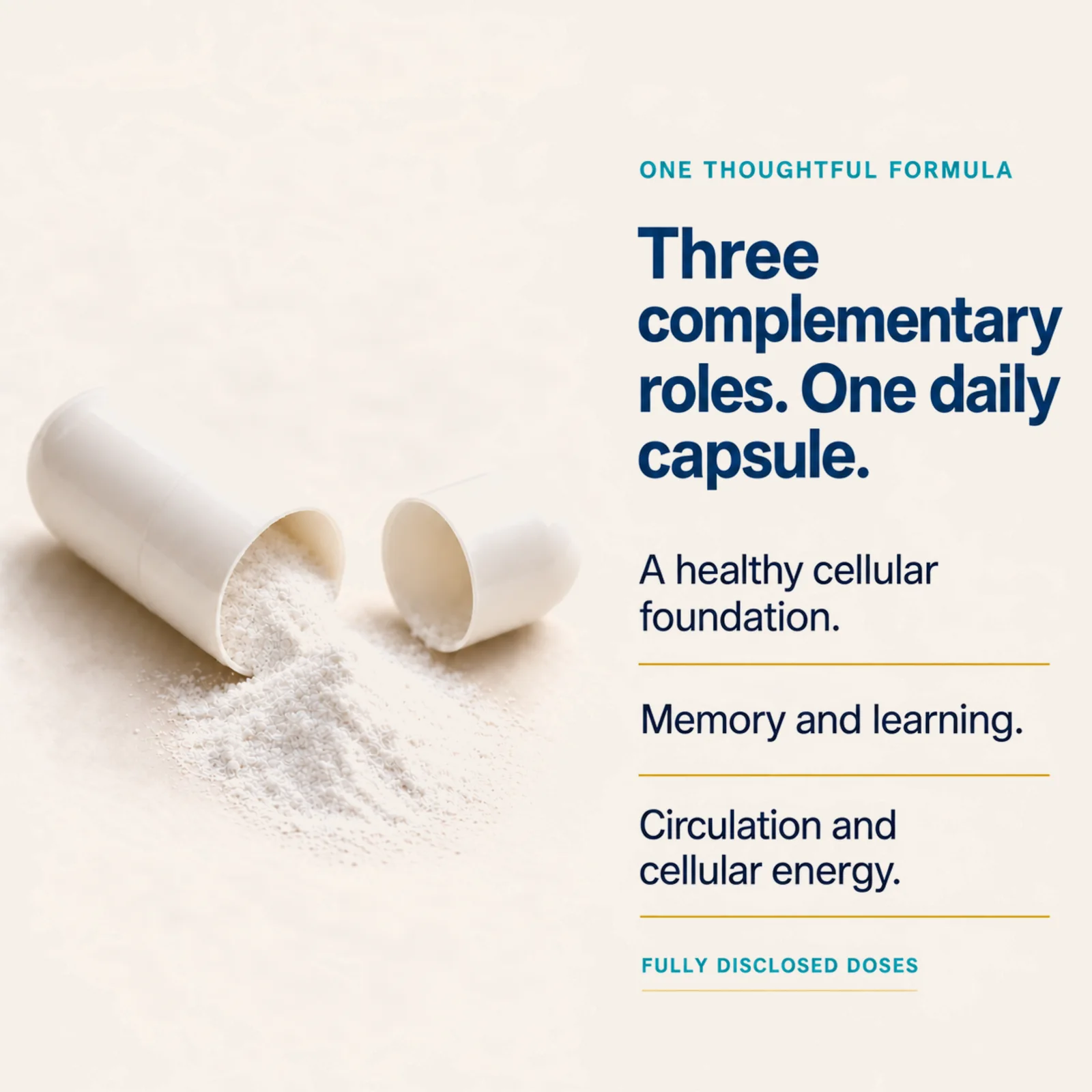 Capsules beside an explanation of three complementary cognitive-support roles