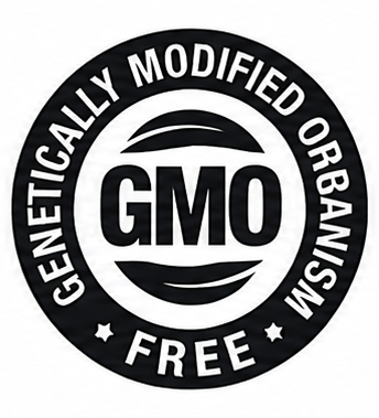 Non-GMO seal in black